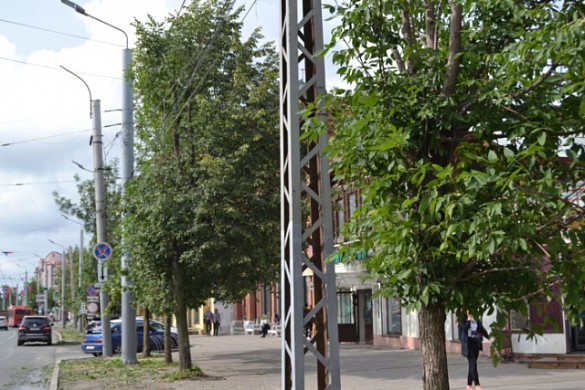 В Иванове подрезают деревья для безопасного движения троллейбусов